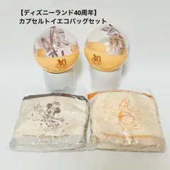 【未使用】【ディズニーランド40周年】カプセルトイエコバッグ｜2種セットのサムネイル