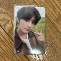 ボムギュ タレントカード