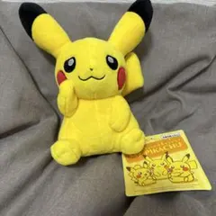 myピカチュウ　ぬいぐるみのサムネイル