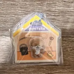 SEVENTEEN セブチ ミニティーン miniteenディノ チャンダリ - メルカリ