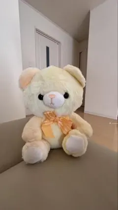 クリーム色のクマのぬいぐるみ