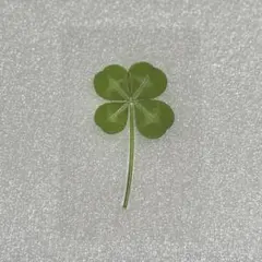 Item thumbnail for item 8ebbc171-ae97-41ff-8b3c-59b5fe8bb94b