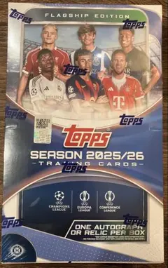 2026愛知CL準優勝構築 エクストラ ホルビーエヴォリューション