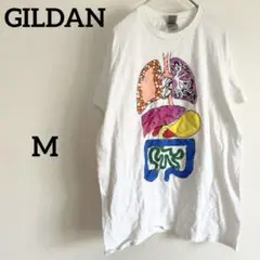 Item thumbnail for item a00cd8da-cdd4-4a2b-b5b0-8153b684e01e