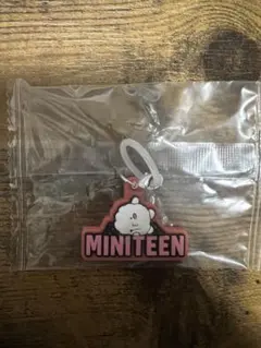 MINITEEN セブチ ミニティーン めじるし