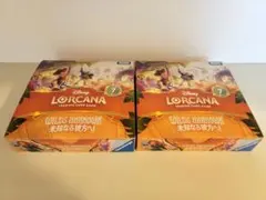 ディズニー ロルカナ 未知なる彼方へ! 2BOXのサムネイル