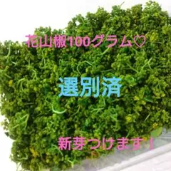 お買い得！週末セール(*^^*)赤城山麓から春をお届け 花山椒100グラム