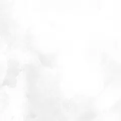 みぃ様専用ページ