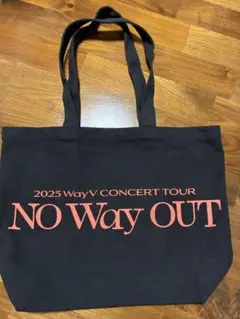 WayV 2025 CONCERT TOUR 토트 백