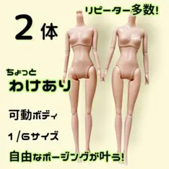 【２体セット】1/6 可動ボディBJD オビツ ドール素体 26cm