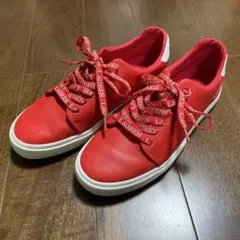 Item thumbnail for item 8186f3cb-4132-453d-96a7-80577a39f260