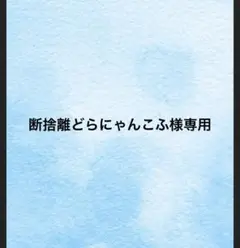 断捨離どらにゃんこふ様専用　XLサイズのサムネイル