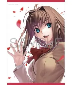 B0特大タペストリー C82 TYPE-MOON 魔法使いの夜 特大タペストリー