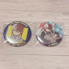 僕のヒーローアカデミア 雄英オープンスクール 轟焦凍