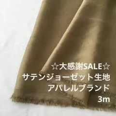 R9L/4065-01◆3m 感謝祭/ポリサテンジョーゼット生地/アパレル