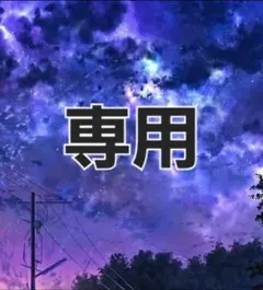 おしるこ様 リクエスト 2点 まとめ商品