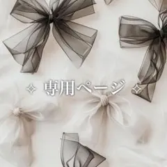 【たけちゃん様専用】