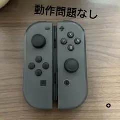 NintendoSwitch ジョイコン グレ