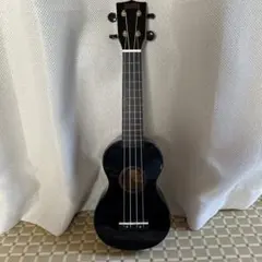 Item thumbnail for item 62e1b874-60b8-4946-9b6d-f778c54133c5