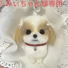 みぃちゃん様専用