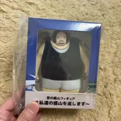 昔の盛山フィギュア #私達の盛山を返します