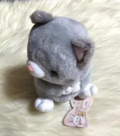 Item thumbnail for item 1f6026b9-842d-4683-a37a-13282da5396d