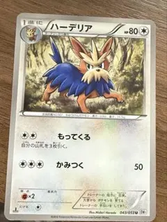 ポケモンカード ハーデリア U BW1 ホワイトコレクション 043/053のサムネイル