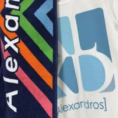 2025年最新】alexandros タオルの人気アイテム - メルカリ