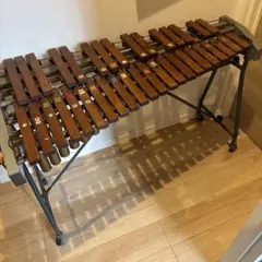 2025年最新】斉藤 マリンバの人気アイテム - メルカリ