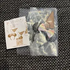 東京ディズニーリゾート 40周年 カプセルトイ　キーホルダー
