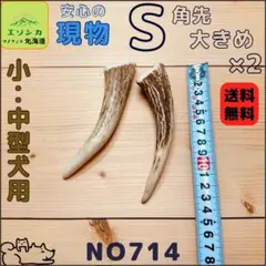 2025年最新】エゾシカ 角の人気アイテム - メルカリ