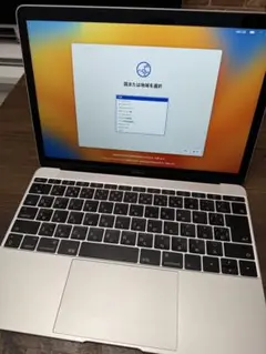 本体美品　Apple MacBook 12インチ　箱付き　256GB