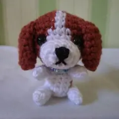 確認用です〜U^ェ^U