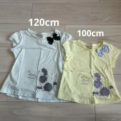 any FAM Tシャツ 120cm 100cm 2枚セット