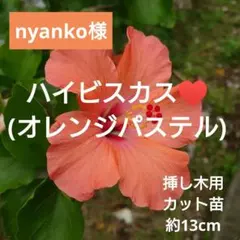 nyanko様 リクエスト 3点 まとめ商品