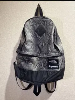 The North Face×Supreme ヘビ柄 リュック