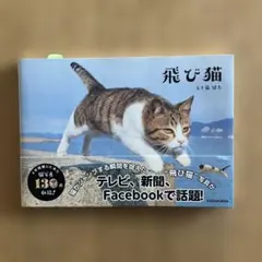 Item thumbnail for item d67e3703-755e-4689-a98c-4c5e2c905721