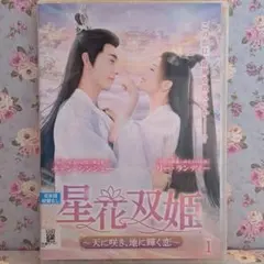 チャオ・シン『流星ロマンス』レンタル落ちDVD☆全巻☆中国ドラマ