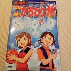大研究 講究碎冰