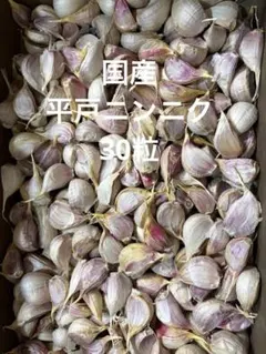 国産平戸 3g以上】30粒 - メルカリ