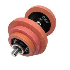 【美品】アイロテック プレート ダンベル 20キロ 筋トレ ②