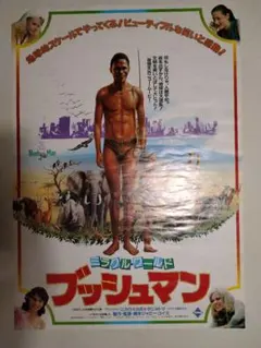 Item thumbnail for item e5a7ff3a-80c8-4886-bf9e-e1dddf5627b1