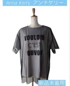 【新品未着用】Anna Kerry チュールシアーTシャツのサムネイル