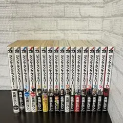 ジャンク・ランク・ファミリー 1巻〜17巻　全巻セット　初版　帯付き　高橋ヒロシ