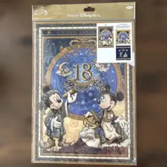 東京ディズニーシー 18周年 クリアホルダー 2枚セット