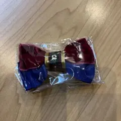 す*ん様 アナ雪　ランダム　 ヘアクリップ