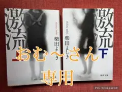 柴田よしき 文庫本2冊セット