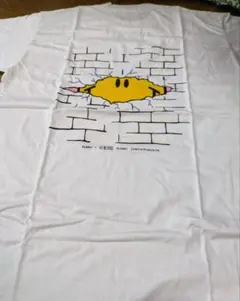 Item thumbnail for item d49f1df2-5030-4dc3-a0a8-8431cca80e18