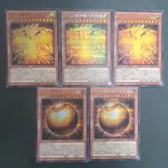 遊戯王　ラーの翼神竜-不死鳥　球体形　5枚セット