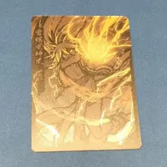 ジャンプ50周年 ウエハース シークレット ドラゴンボール 親子かめはめ